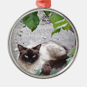 Ornamento De Metal Pintura digital do Gatinho