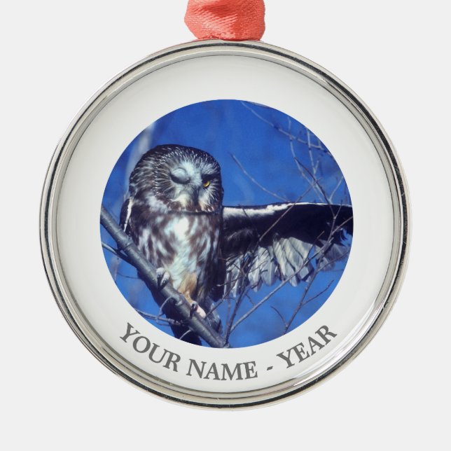 Ornamento De Metal Pisc a coruja (Frente)