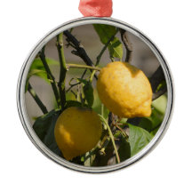 Placa gráfica de limão espanhola