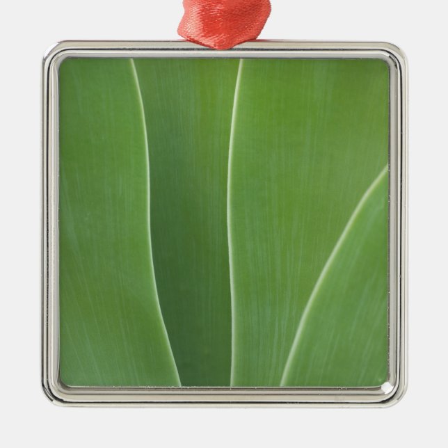 Ornamento De Metal Planta Agave Close Up (Frente)