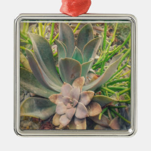 Ornamento De Metal Plantas bonito do Succulent