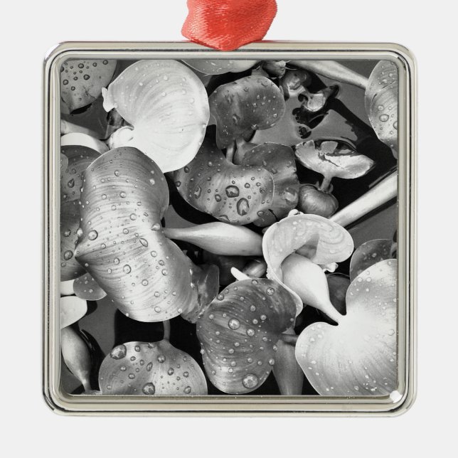 Ornamento De Metal Plantas de amante e preto e branco (Frente)