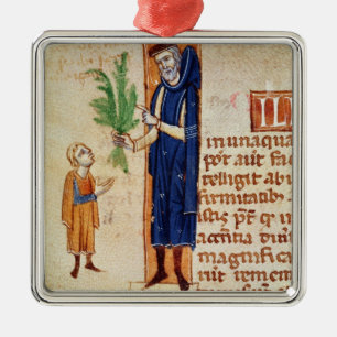 Ornamento De Metal Plantas medicinais