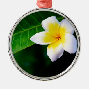 Ornamento De Metal Plumeria