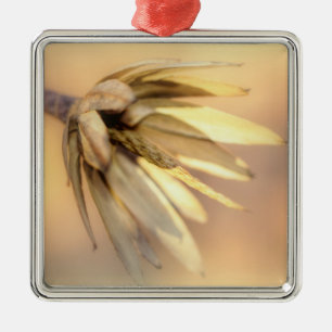 Ornamento De Metal Pod de Semente Vazia do Poplar