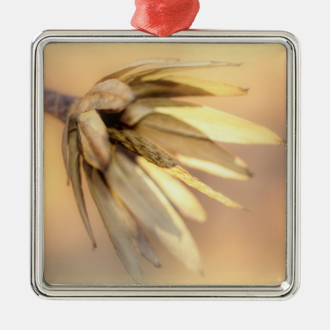 Ornamento De Metal Pod de Semente Vazia do Poplar (Frente)