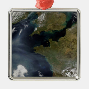 Ornamento De Metal Poluição fora de France