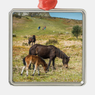 Ornamento De Metal Pony Haytor rock no Parque Nacional de Dartmoor De