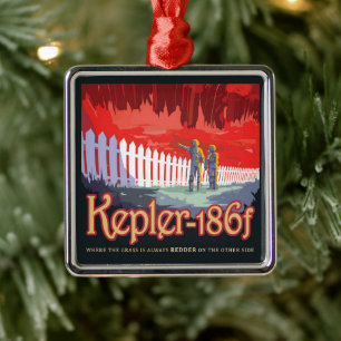 Ornamento De Metal Poster De Espaço Retroativo Do Kepler-186f.