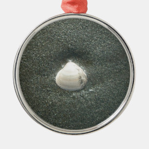 Ornamento De Metal Preso em uma Concha: Serenidade Minimalista de Con
