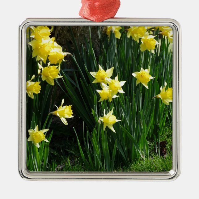 Ornamento De Metal Primavera Daffodils (Frente)