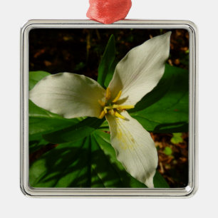 Ornamento De Metal Primavera de flor branca Trillium