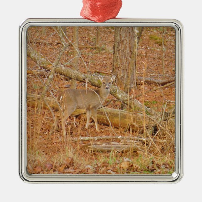 Ornamento De Metal Primeiro inverno do Baby Deer (Frente)