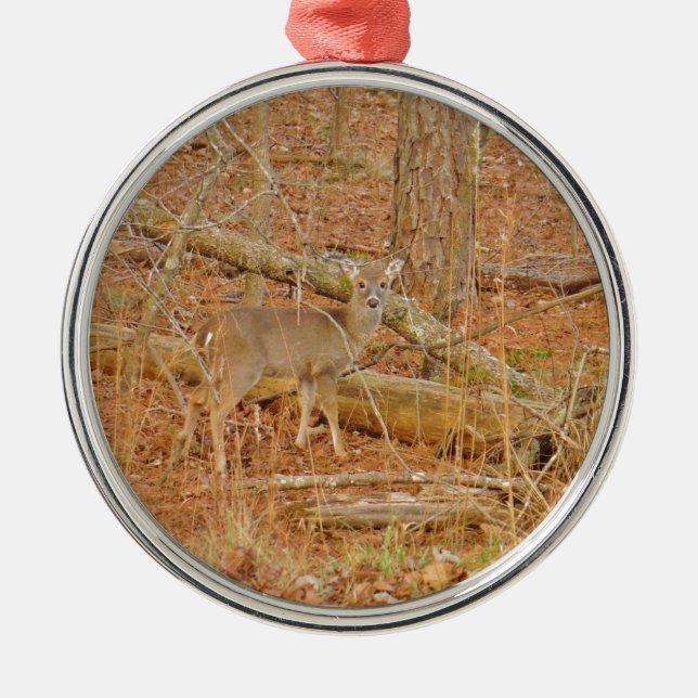 Ornamento De Metal Primeiro inverno do Baby Deer (Frente)