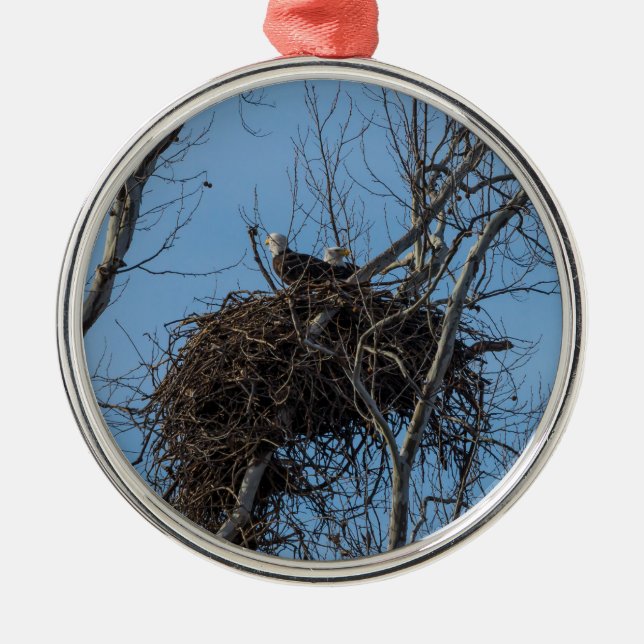 Ornamento De Metal Problemas de Águia Dupla (Frente)