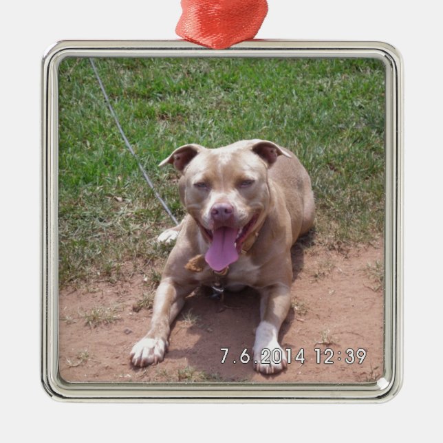Ornamento De Metal Produtos do pitbull (Frente)