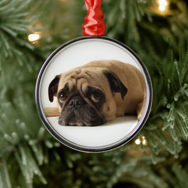 Ornamento De Metal Pug Triste (Árvore)