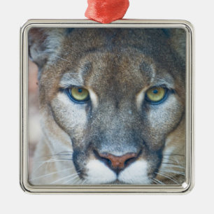 Ornamento De Metal Puma, leão-da-montanha, pantera-da-flórida, Puma