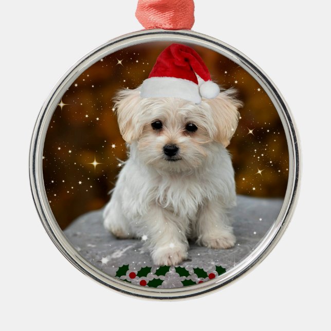 Ornamento De Metal Puppy de Natal maltês (Frente)