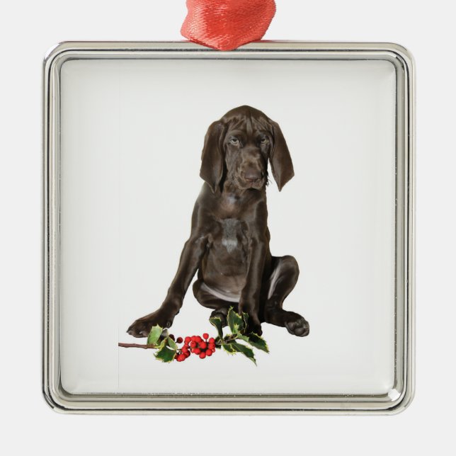 Ornamento De Metal Puppy de Ponteiro de Natal (Frente)