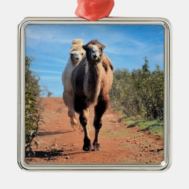 Ornamento De Metal Purnimama & Delany (Frente)