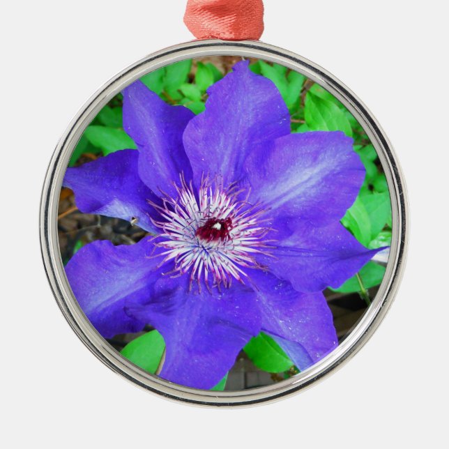 Ornamento De Metal Purple Clematis Flower (Frente)