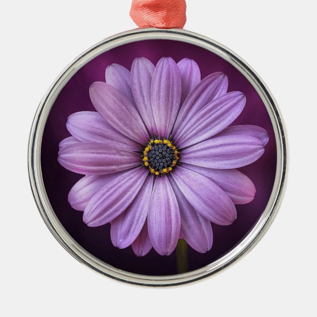 Ornamento De Metal Purple Flower in Bloom Ceramic Ornament (Frente)