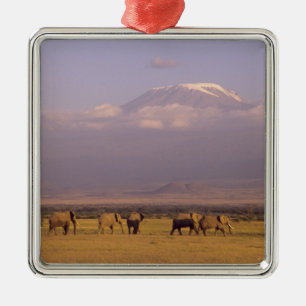 Ornamento De Metal Quênia: Parque Nacional de Amboseli, Elefantes