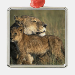 Ornamento De Metal Quênia, Reserva de Caça Masai Mara, Leoa