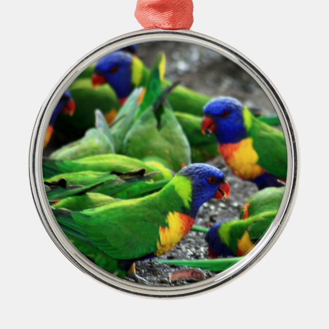 Ornamento De Metal Rainbow Lorikeets australiano (Frente)