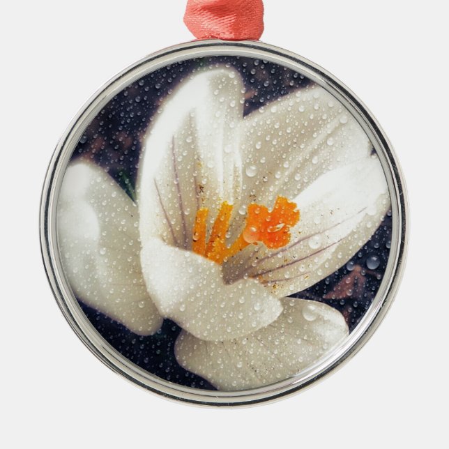 Ornamento De Metal Rainy Day Crocus Flower (Frente)