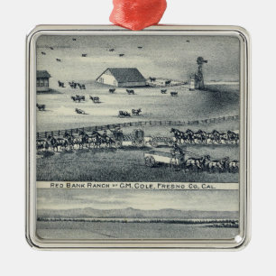 Ornamento De Metal Ranches do Cole