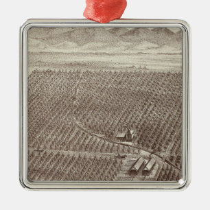 Ornamento De Metal Rancho da fruta de Chapin