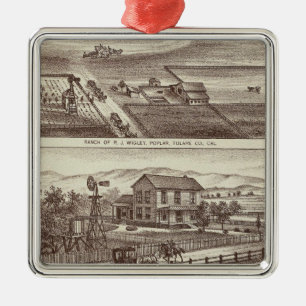 Ornamento De Metal Ranchos do álamo