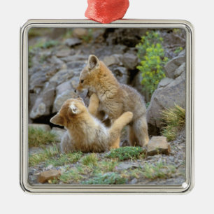 Ornamento De Metal Raposa Cinzenta Sul-Americana (Lycalopex griseus)