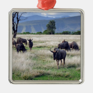 Ornamento De Metal Rebanho do Wildebeest