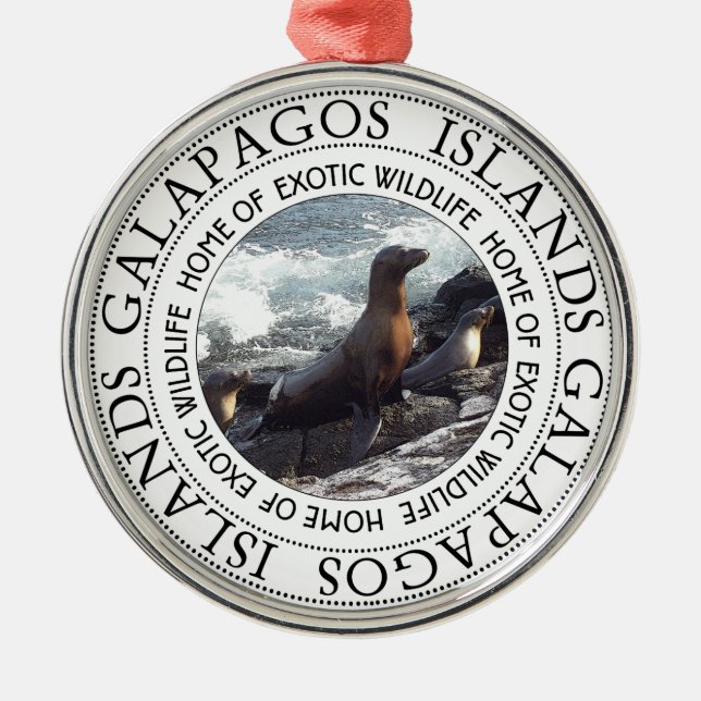 ORNAMENTO DE METAL REDES DE GALAPAGOS (Frente)