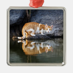 Ornamento De Metal Reflexão Gato na Foto Engraçada em Água Pond -