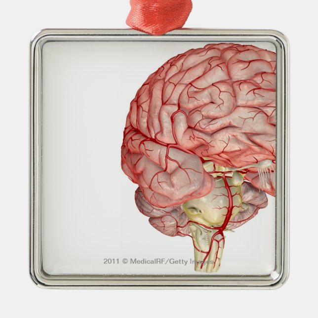 Ornamento De Metal Rendição de Realitic do cérebro humano (Frente)