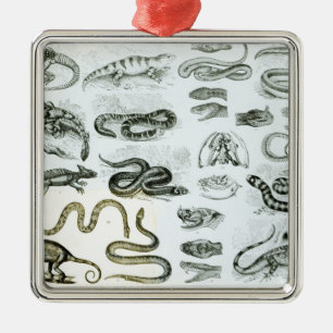 Ornamento De Metal Répteis, serpentes e lagartos