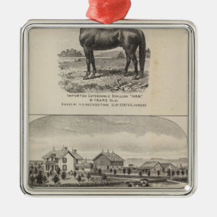 Ornamento De Metal Residências de Oxford e de Abilene, Kansas