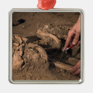 Ornamento De Metal Restos humanos