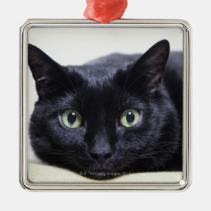 Ornamento De Metal Retrato de um gato