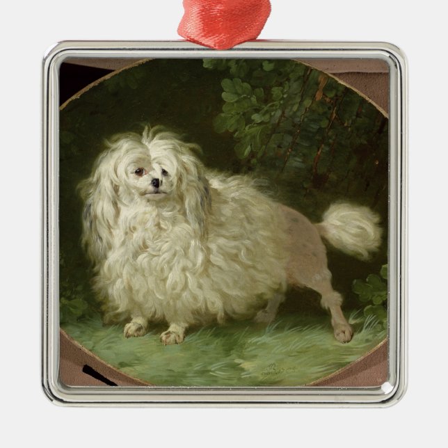 Ornamento De Metal Retrato de uma caniche (Frente)