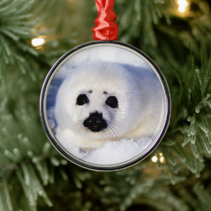 Ornamento De Metal Retrato de uma Pup Harp Seal
