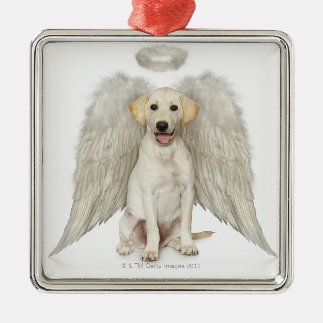 Ornamento De Metal Retrato de vestir-se branco de labrador retriever (Frente)