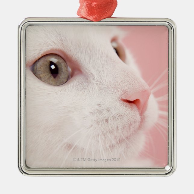 Ornamento De Metal Retrato do gato (Frente)
