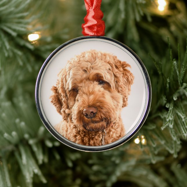 Ornamento De Metal Retrato do Goldendoodle Studio (Árvore)