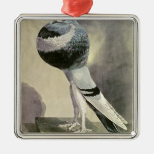 Ornamento De Metal Retrato do pombo do Pouter
