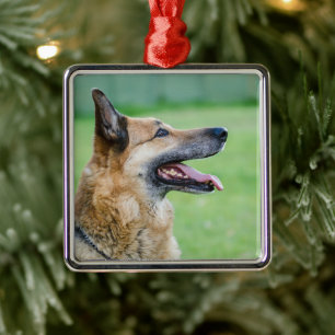 Ornamento De Metal Retrato German shepherd